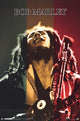 Bob Marley Rasta Stage Poster Print - 22x34 Rolled Art