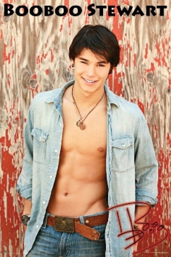 Booboo Stewart Twilight Movie Poster Print (22x34)