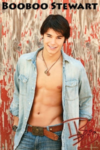 Booboo Stewart Twilight Movie Poster Print (22x34)