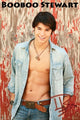 Booboo Stewart Twilight Movie Poster Print (22x34)