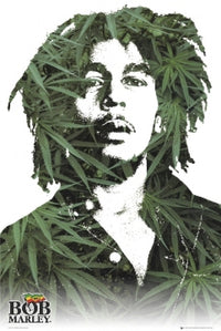 Bob Marley Leaves Poster Print - 22x34 | Posterazzi