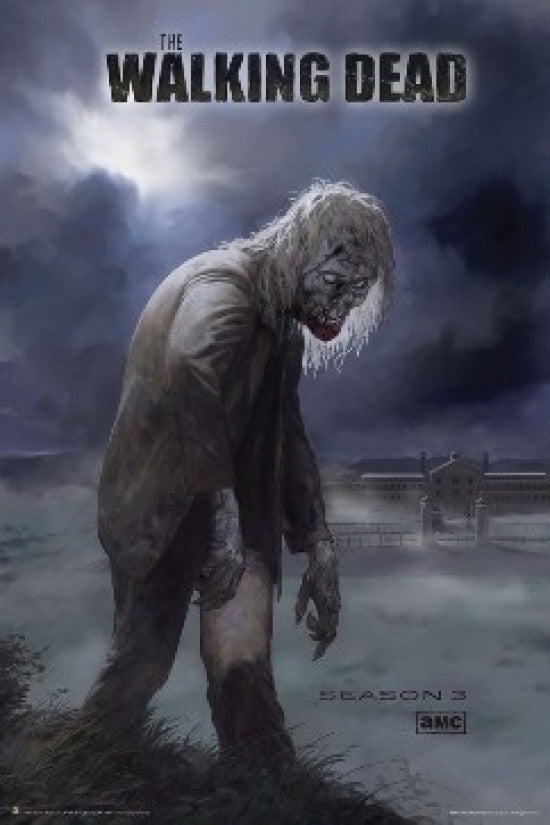 Walking Dead Season 3 Official Premier Poster Print