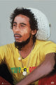 Bob Marley Painting Poster Print - 22x34 Rolled Poster