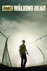 Walking Dead Season 4 Key Art Poster Print - 22x34