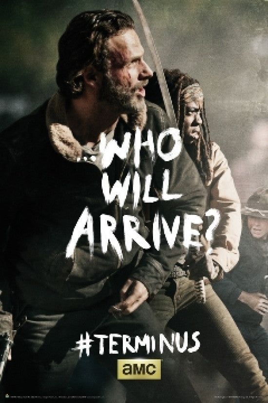 The Walking Dead Terminus Rick and Michonne Poster Print