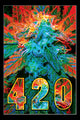 420 Poster Print - Rolled Poster 22x34