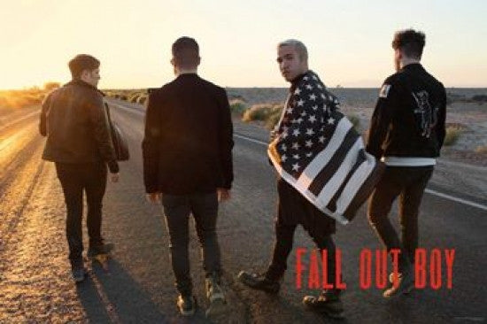 Fall Out Boy Group Poster Print - 36x24 Rolled Poster