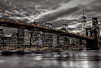 New York City Poster Print by Assaf Frank - 22x34