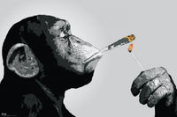 Steez Monkey Joint Time Rolled Poster Print (34x24)