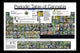 Periodic Table of Cannabis Poster Print - 34x22