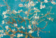 V. Van Gough Almond Poster Print - 22x34 Rolled Art