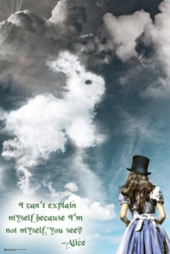 Alice In Wonderland Illusions Poster Print (24x36)