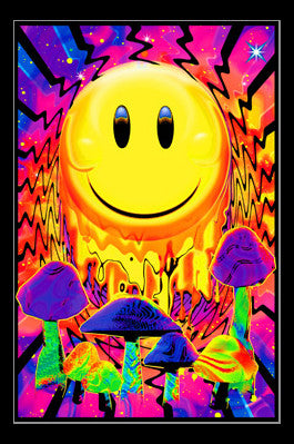 Have A Nice Trip Rolled Poster Print - 22x34