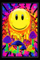 Have A Nice Trip Rolled Poster Print - 22x34