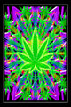 Heady Leaf Poster Print - Vibrant Nature Décor for Home or Office