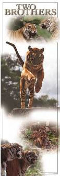 Two Brothers Poster Print in vertical format, 21 x 62 inches.