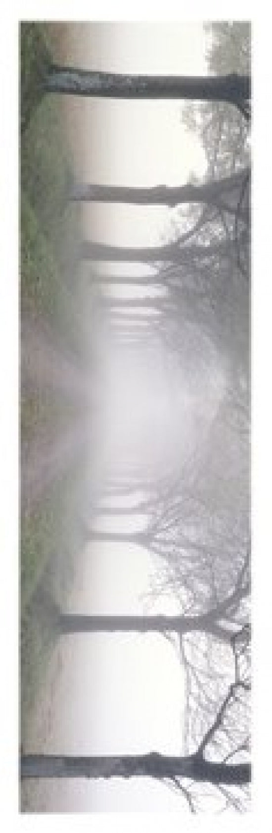 In The Midst Poster - Horizontal Wall Art
