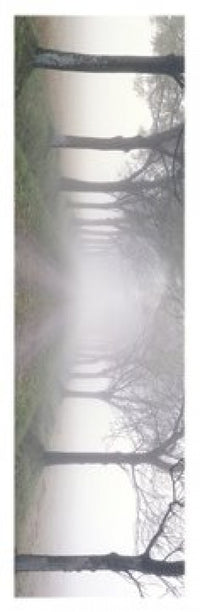 In The Midst Poster - Horizontal Wall Art