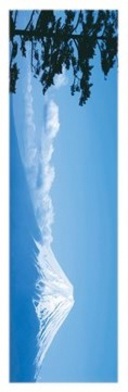 Mount Fuji Japan Rolled Poster Print - 12x36