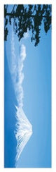 Mount Fuji Japan Rolled Poster Print - 12x36