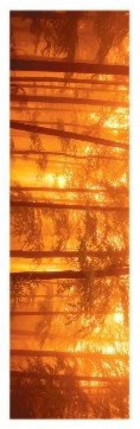 Morning Mist Poster showcasing serene landscape art.