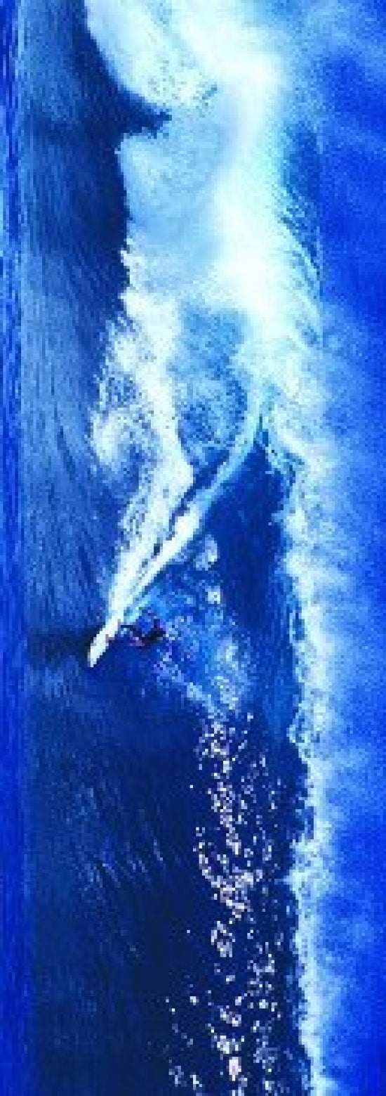 High Surf Poster showcasing stunning ocean waves