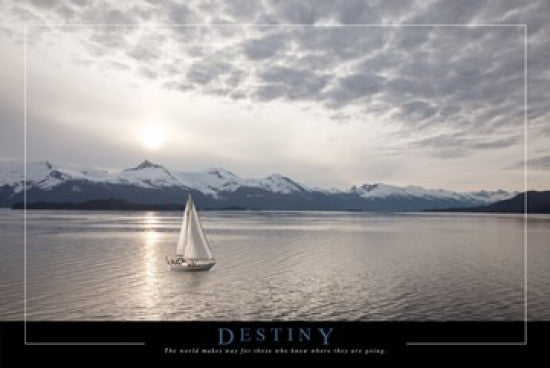 Destiny Rolled Poster Print - 34x22 | Posterazzi