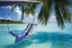 Tropical Beach Brick and Mortar Poster Print (60x40)