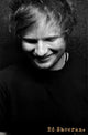 Ed Sheeran Profile Poster Print - 24x36 Rolled Poster