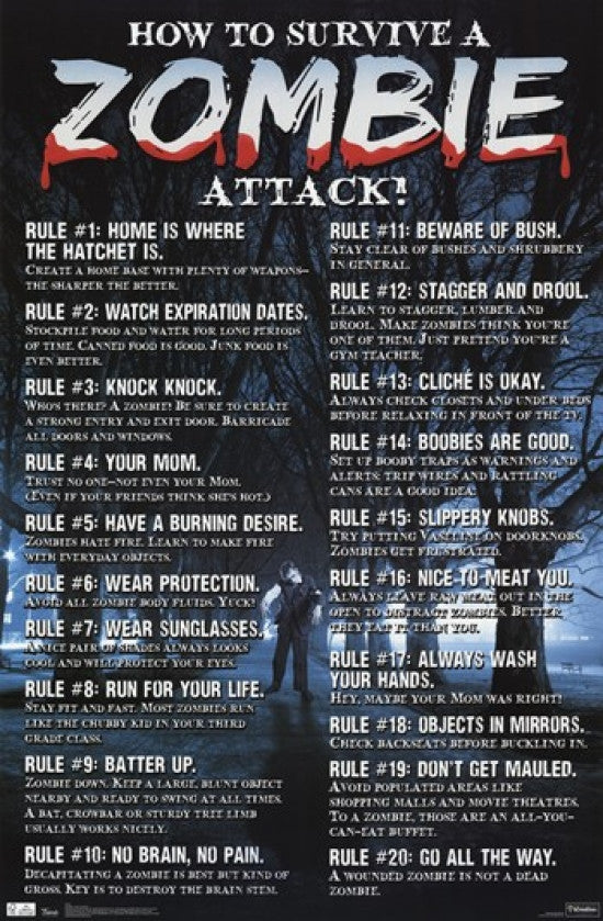 Zombies - How to Survive Poster Print | 24x36 Rolled Poster