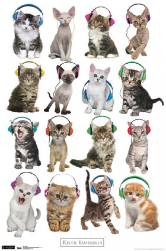 Kitten with Headphones Rolled Poster Print - 24x36