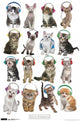 Kitten with Headphones Rolled Poster Print - 24x36