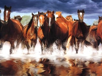 Running Horse Art