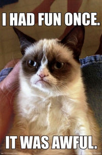 Grumpy Cat Fun Meme Poster Print - 22x34 Rolled Poster