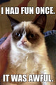 Grumpy Cat Fun Meme Poster Print - 22x34 Rolled Poster