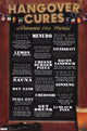Hangover Cures Poster Print 24x36 - Fun and vibrant wall art