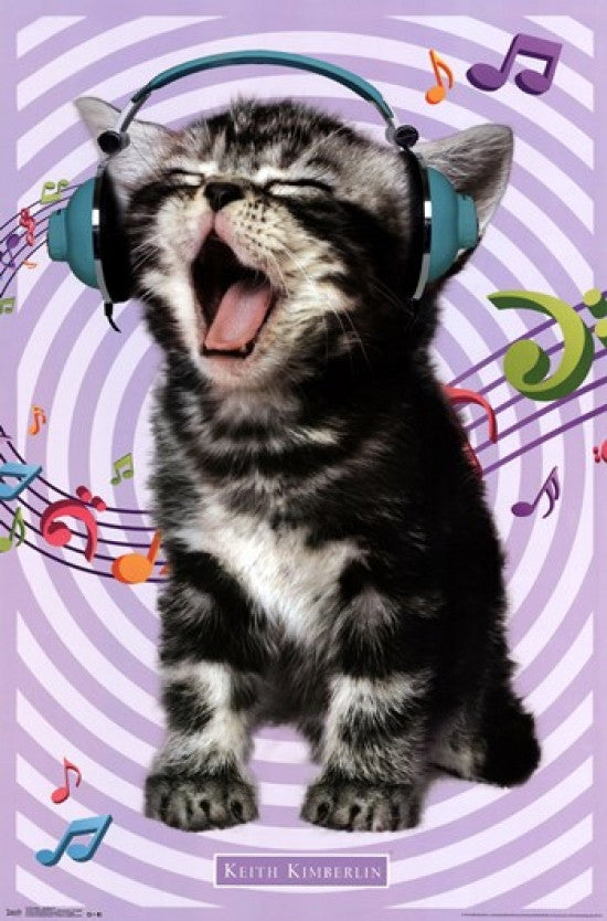 Kitten Singing Poster Print - 22x34 Rolled Art Print