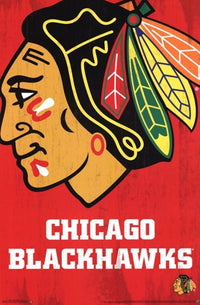 Chicago Blackhawks 2013 Logo Poster Print - 22 x 34