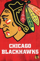 Chicago Blackhawks 2013 Logo Poster Print - 22 x 34