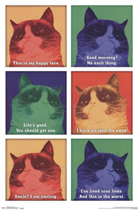 Grumpy Cat - Cattitude Rolled Poster Print (24x36)