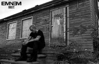 Eminem Marshall Mathers LP 2 Poster Print - 36x24