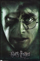 Harry Potter and the Deathly Hallows Part 2 Poster Print - Harry vs. Voldemort