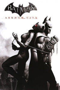 Batman Arkham City Catwoman Poster Print - 24x36