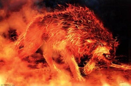 Tom Wood Fire Stalker Poster Print - 36x24 | Posterazzi