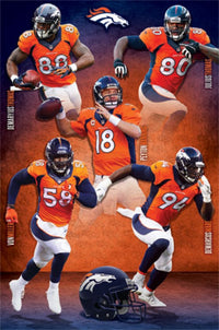 Denver Broncos 2014 Team Poster Print