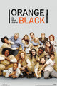 Orange Black Group Poster Print - 24x36 Rolled Art