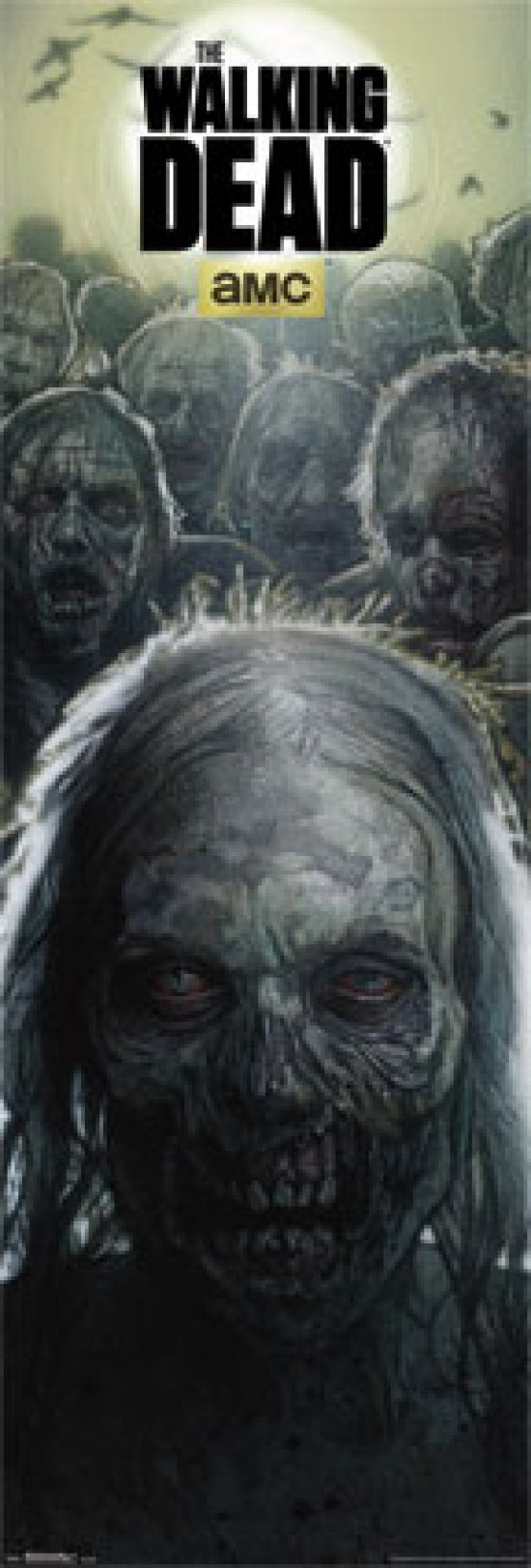 Walking Dead Zombies Door Poster Print 21x62