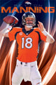 Peyton Manning Denver Broncos Poster Print 22x34