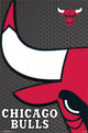 Chicago Bulls 2014 Logo Poster Print - NBA Wall Art