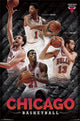 Chicago Bulls 2014 Collage Poster Print showcasing basketball moments.